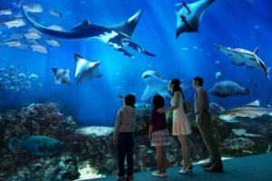 oceanarium