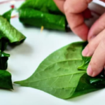 5 Jenis Daun Herbal untuk Redakan Penyakit