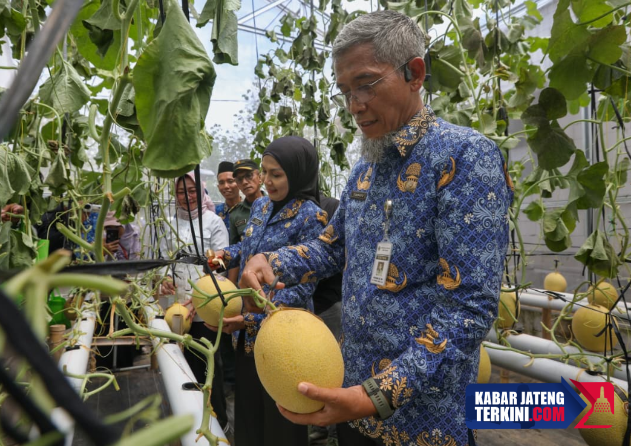 Kawasan Produksi Widuri Pegandon Kendal Jadi Salah Satu Titik Pengembangan Ekonomi Desa Berbasis Potensi Kearifan Lokal