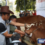 Pemprov Jateng Tekankan Sektor Peternakan Punya Prospek Ekonomi Menjanjikan