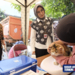 Cegah Penularan Rabies, Pemkot Surakarta Sediakan 1.100 Vaksin Gratis bagi Hewan