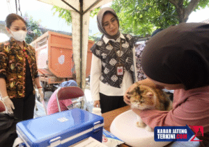Cegah Penularan Rabies, Pemkot Surakarta Sediakan 1.100 Vaksin Gratis bagi Hewan