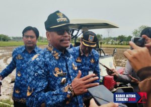 Foto : Bupati Rembang, Harno ditemui di lahan pertanian padi di Desa Waru Kecamatan Rembang. (Sumber. kabarjatengterkini.com/ Ilham)