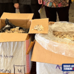 Terbongkar Praktik Curang Ekspor Sarang Burung Walet dari Indonesia ke Vietnam