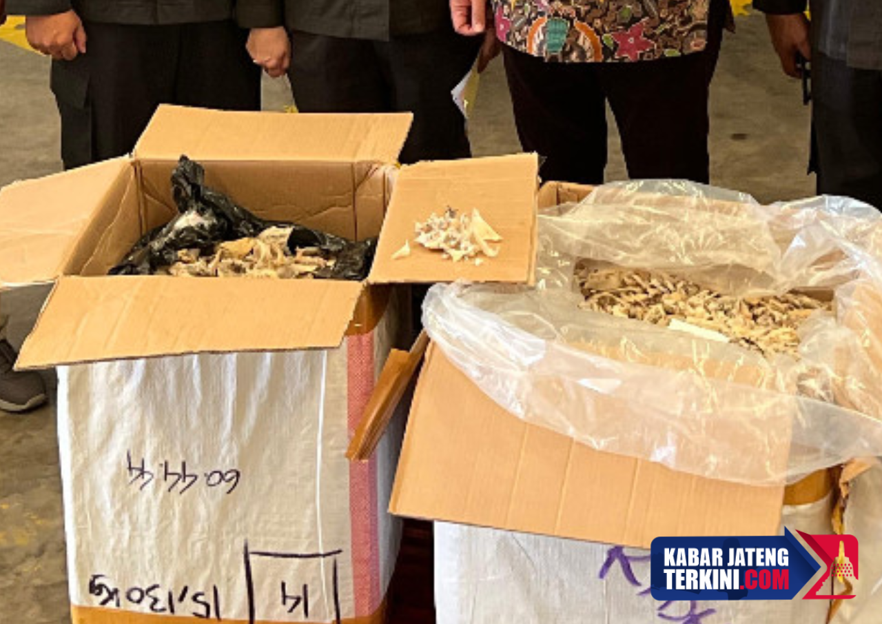 Terbongkar Praktik Curang Ekspor Sarang Burung Walet dari Indonesia ke Vietnam