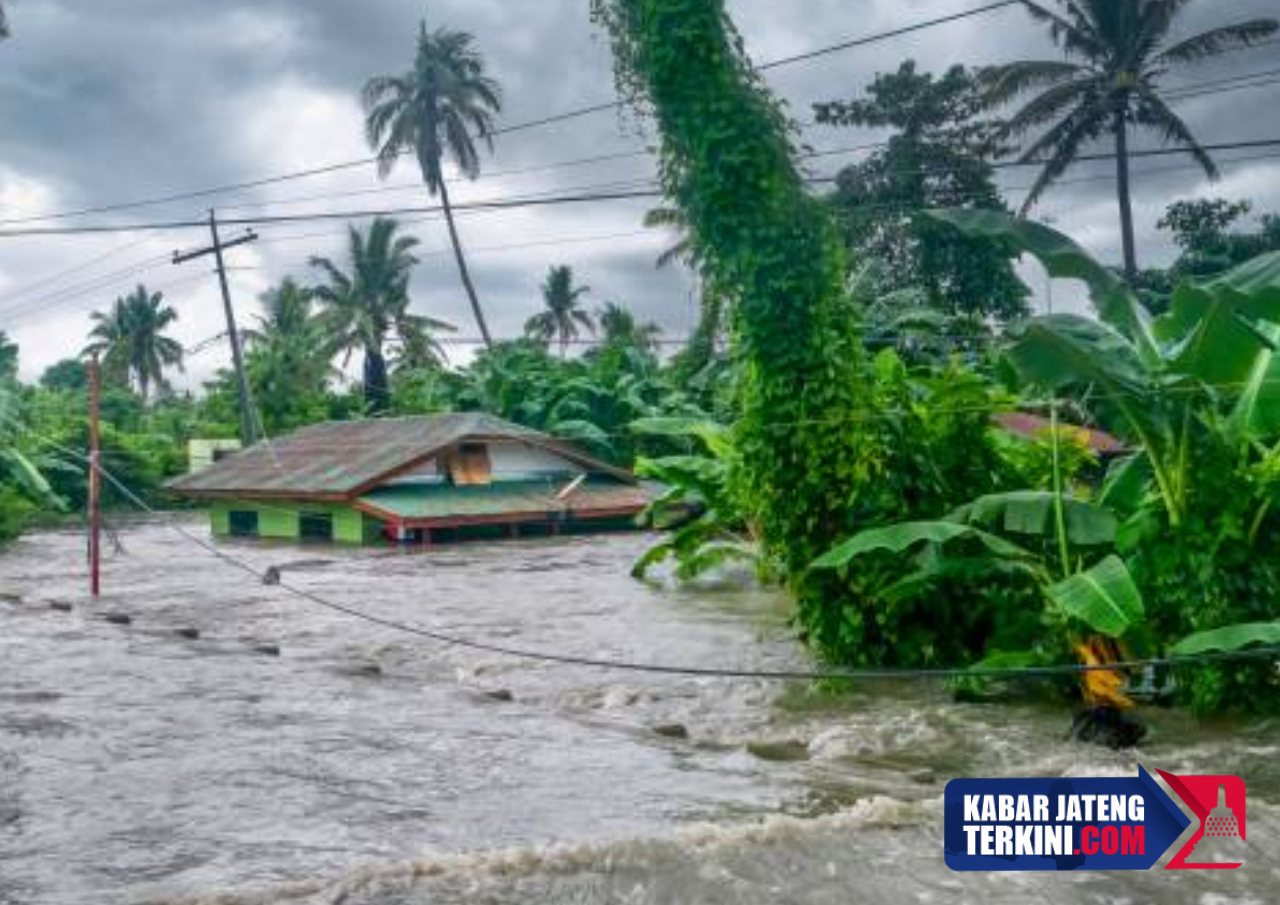 Dampak Banjir dan Tanah Longsor Kian Parah, 7 Bupati di Aceh Angkat Tangan