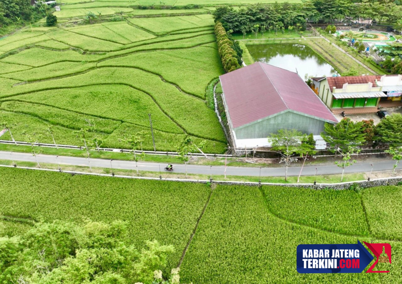 Jumlah Desa Mandiri Melonjak Selama Setahun, Pemprov Sebut Indikasi Pemerataan Pembangunan