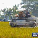 Jateng Jadi Salah Satu Wilayah dengan Kontribusi Produktivitas Padi, Kedela, dan Jagung Terbesar Nasional