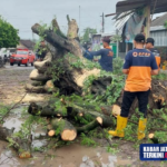 Puncak Musim Hujan Bulan Januari Berpotensi Terjadi Bencana Hidrometeorologi