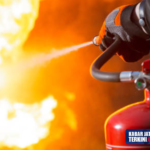 Terjadi Kebakaran Kandang di Klaten, Ribuan Ayam Hangus Terbakar