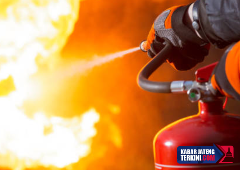 Terjadi Kebakaran Kandang di Klaten, Ribuan Ayam Hangus Terbakar