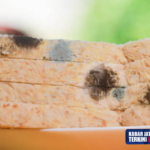 Heboh Temuan Roti Tawar Berjamur di Menu MBG SMPN 1 Delanggu Klaten