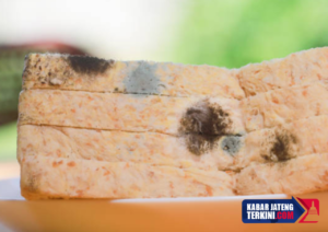 Heboh Temuan Roti Tawar Berjamur di Menu MBG SMPN 1 Delanggu Klaten