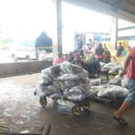 Foto : Tangkapan ikan di Tempat Pelelangan Ikan (TPI) II Juwana. (Sumber. Kabarjatengterkini)