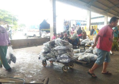 Foto : Tangkapan ikan di Tempat Pelelangan Ikan (TPI) II Juwana. (Sumber. Kabarjatengterkini)