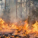 Warga Diimbau Waspada Potensi Bencana Selama Musim Kemarau