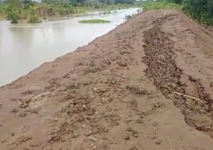 Kerap Jebol, Tanggul Sungai Tuntang Demak-Grobogan Bakal Dinormalisasi Tahun Ini