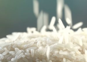 Heboh Jual-Beli Beras Program Bantuan Pangan Secara Daring, DKPP Klaten Bakal Telusuri
