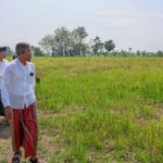 Sejumlah Lahan Pertanian yang Dilindungi di Grobogan Masih Terendam Lumpur Akibat Banjir