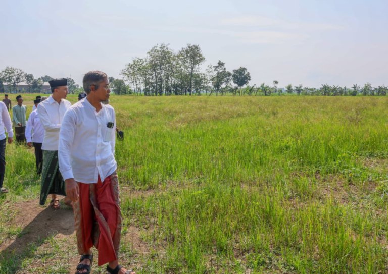 Sejumlah Lahan Pertanian yang Dilindungi di Grobogan Masih Terendam Lumpur Akibat Banjir