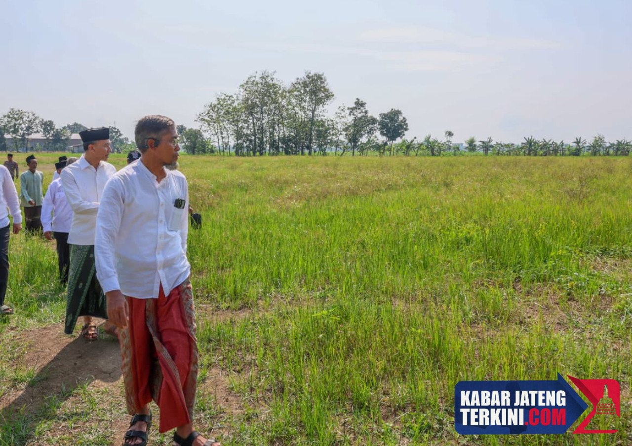Sejumlah Lahan Pertanian yang Dilindungi di Grobogan Masih Terendam Lumpur Akibat Banjir