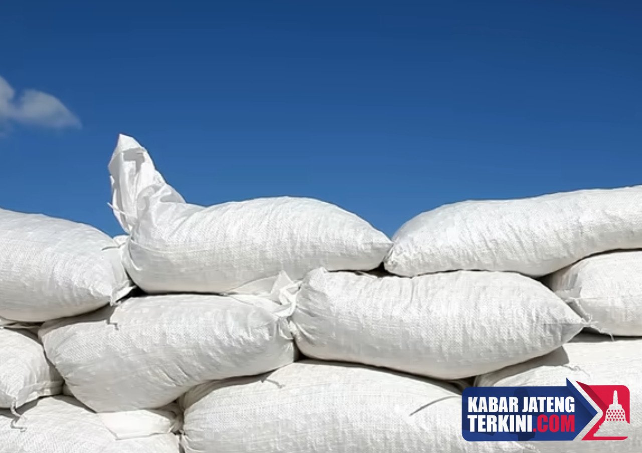 Tanggul Sungai Plumbon Jebol, BBWS Berikan Penanganan Sementara