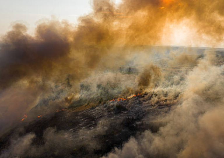 Sebanyak 37 Kasus Kebakaran Hutan dan Lahan di Jateng Terjadi Sebulan Terakhir