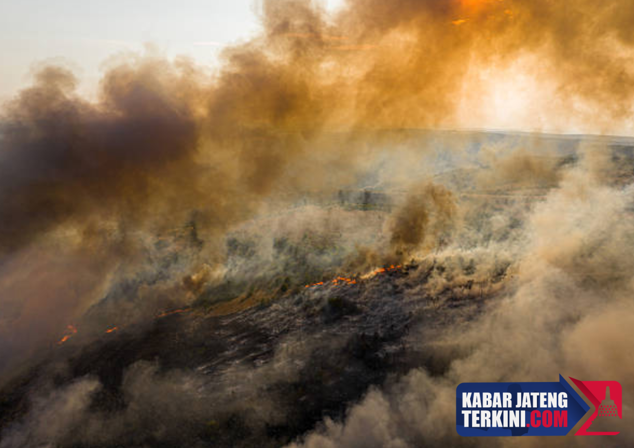 Sebanyak 37 Kasus Kebakaran Hutan dan Lahan di Jateng Terjadi Sebulan Terakhir
