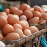 Salah Satu Faktor Harga Daging Ayam dan Telur Anjlok, Pemprov Jateng: Overproduksi