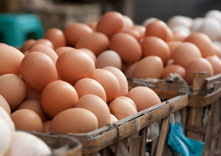 Salah Satu Faktor Harga Daging Ayam dan Telur Anjlok, Pemprov Jateng: Overproduksi