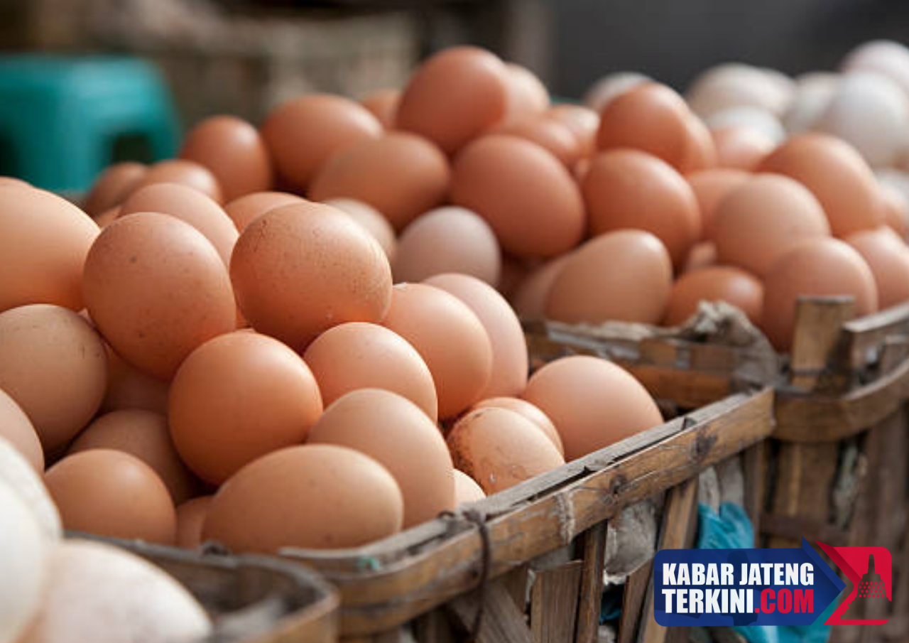 Salah Satu Faktor Harga Daging Ayam dan Telur Anjlok, Pemprov Jateng: Overproduksi