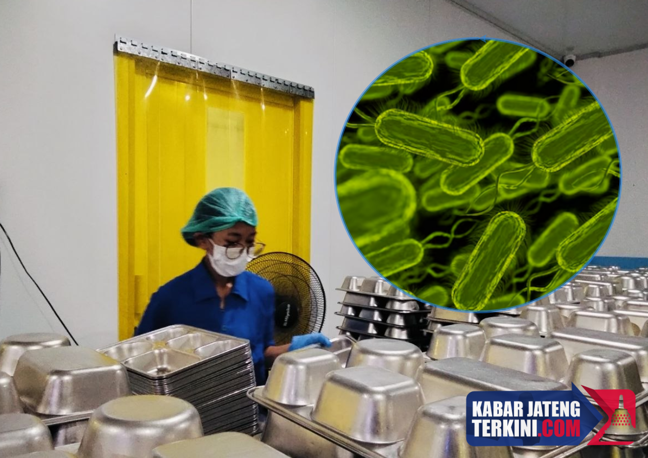 Dinkes Jateng Sebut Temuan Jenis Bakteri Bisa Jadi Petunjuk Evaluasi SPPG