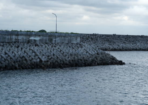 Pembangunan Giant Sea Wall Pantura Dimulai 2027, Butuh Waktu Hingga 20 Tahun
