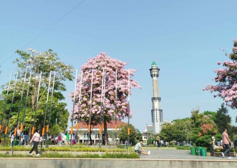 Pemkab Buka Sayembara Unggah Konten Menarik Bunga Tabebuya di Alun-alun Pati