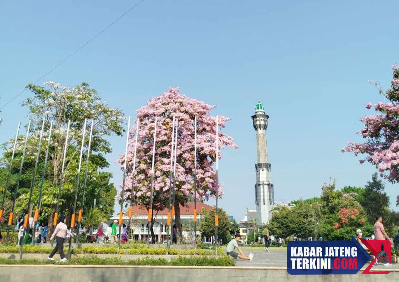 Pemkab Buka Sayembara Unggah Konten Menarik Bunga Tabebuya di Alun-alun Pati